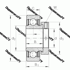 Подшипник RAE 30-NPP-FA 106