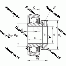Подшипник RAE 50-NPP-B